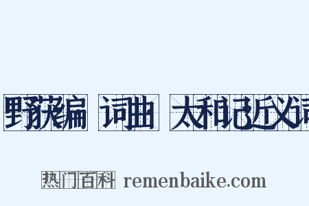 野获编·词曲·太和记近义词是什么意思的图片